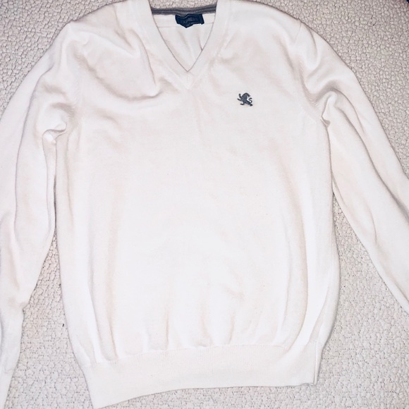 Express Other - EXPRESS V Neck Fitted Sweater with Lion logo